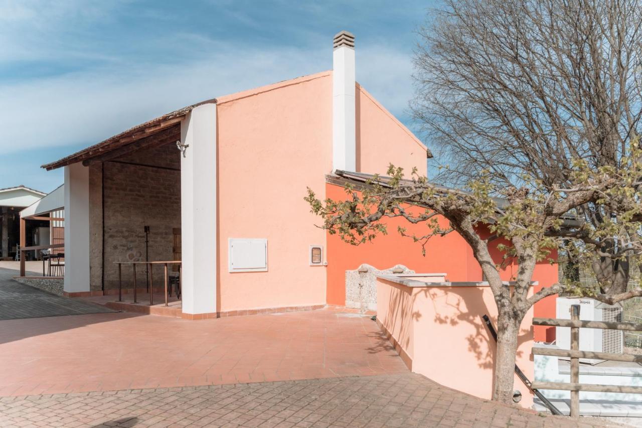 Agriturismo San Francesco Valeggio sul Mincio Εξωτερικό φωτογραφία