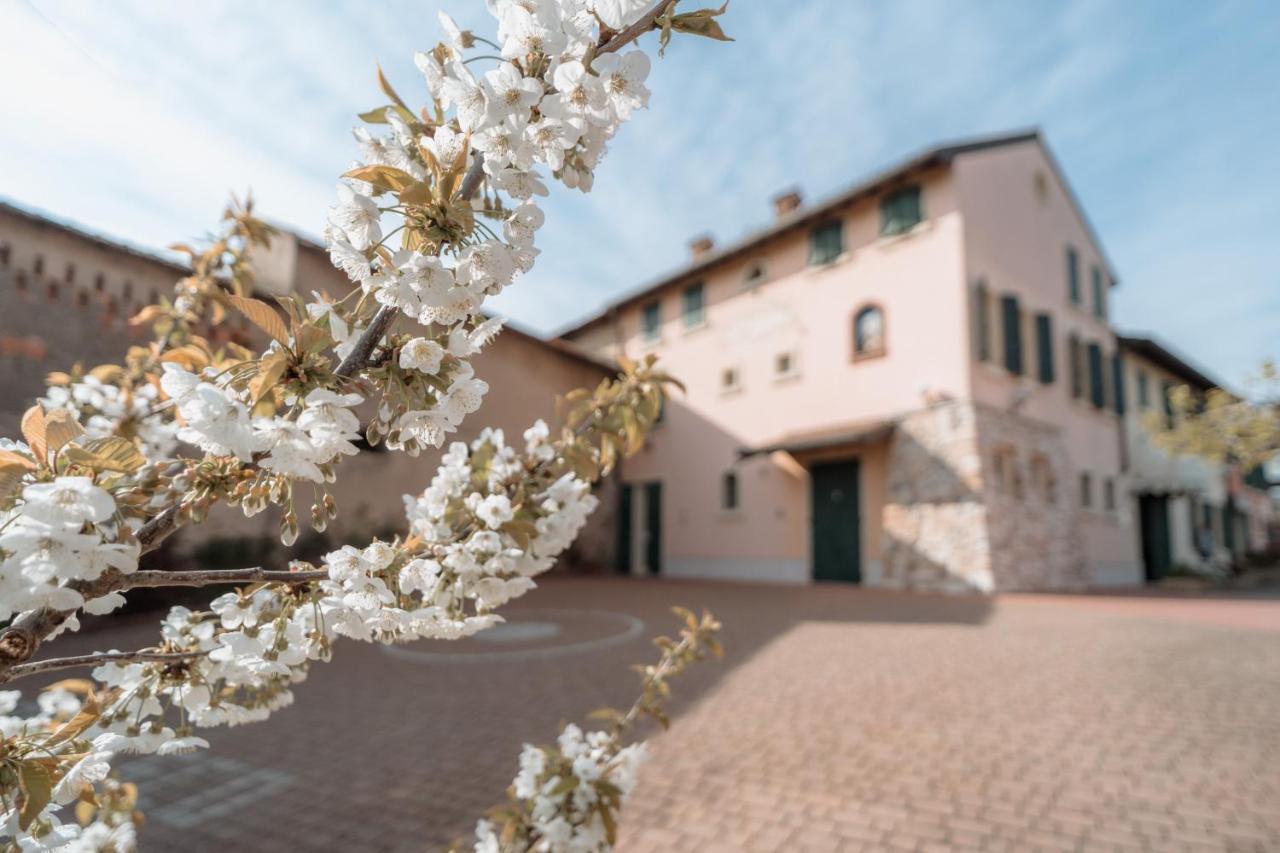 Agriturismo San Francesco Valeggio sul Mincio Εξωτερικό φωτογραφία