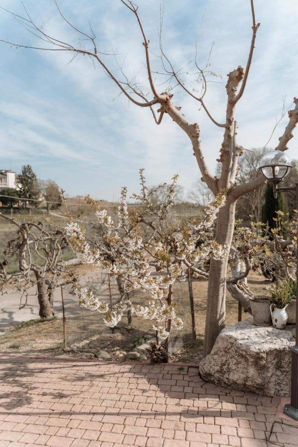 Agriturismo San Francesco Valeggio sul Mincio Εξωτερικό φωτογραφία
