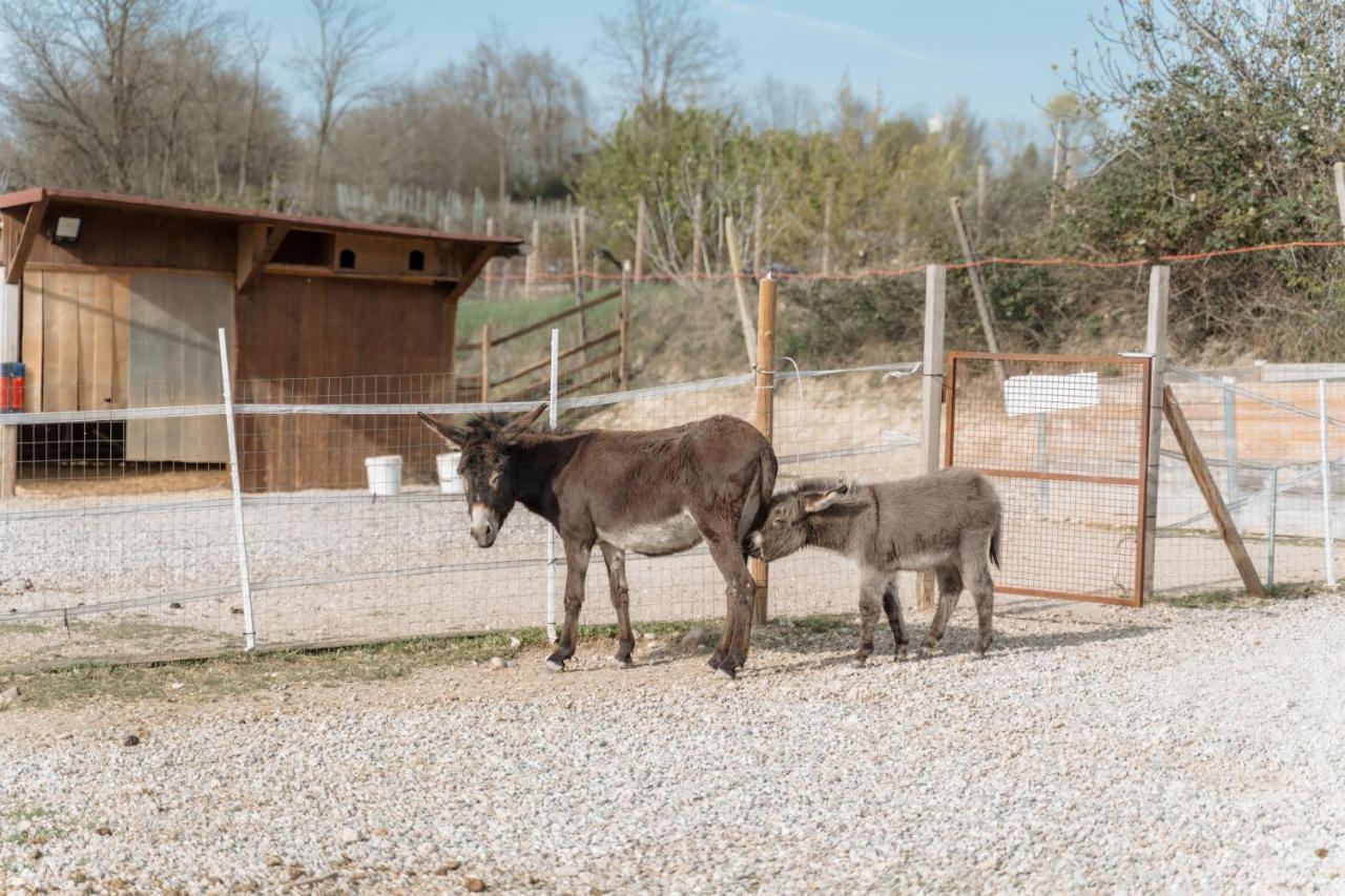 Agriturismo San Francesco Valeggio sul Mincio Εξωτερικό φωτογραφία
