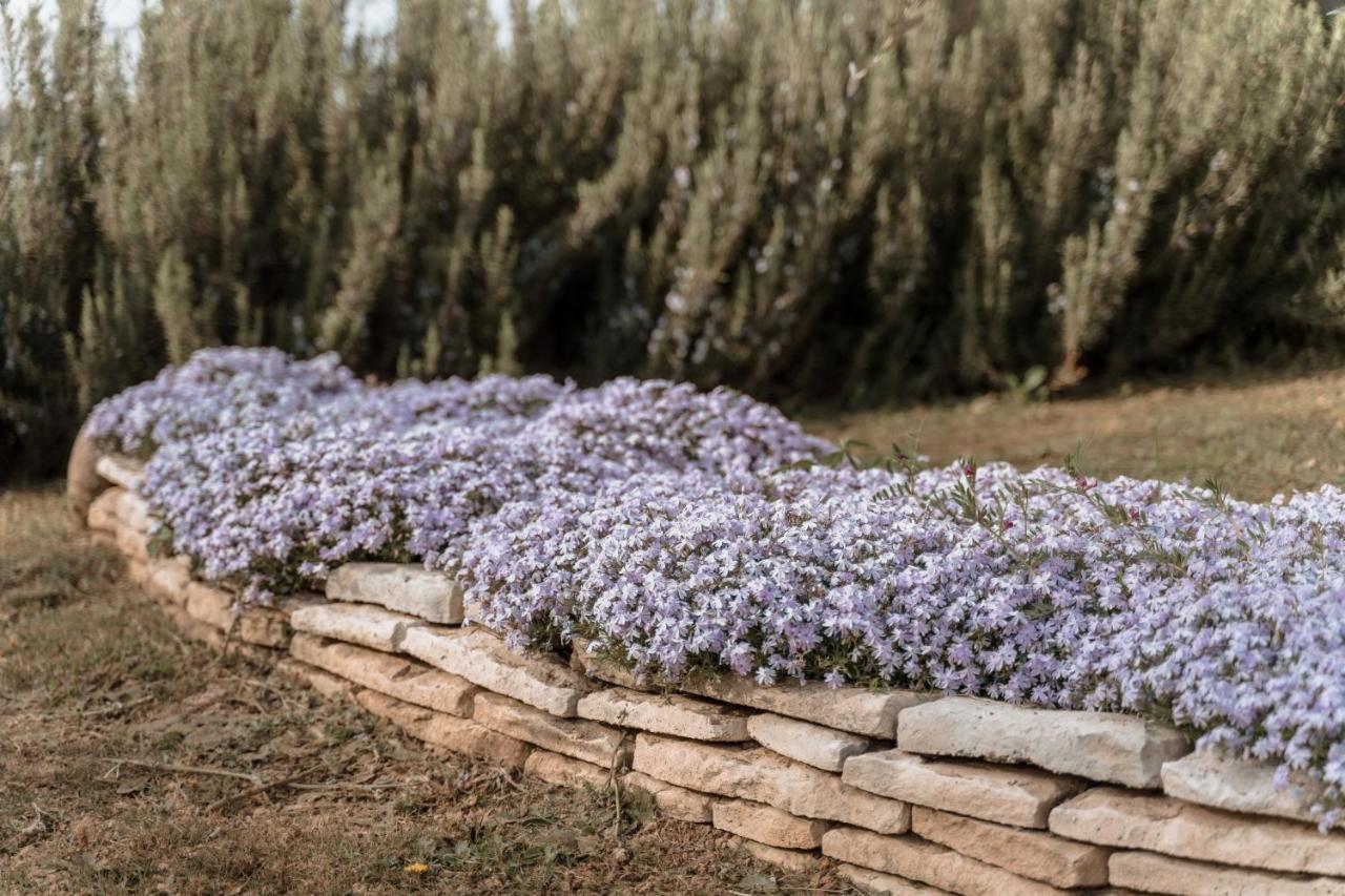 Agriturismo San Francesco Valeggio sul Mincio Εξωτερικό φωτογραφία