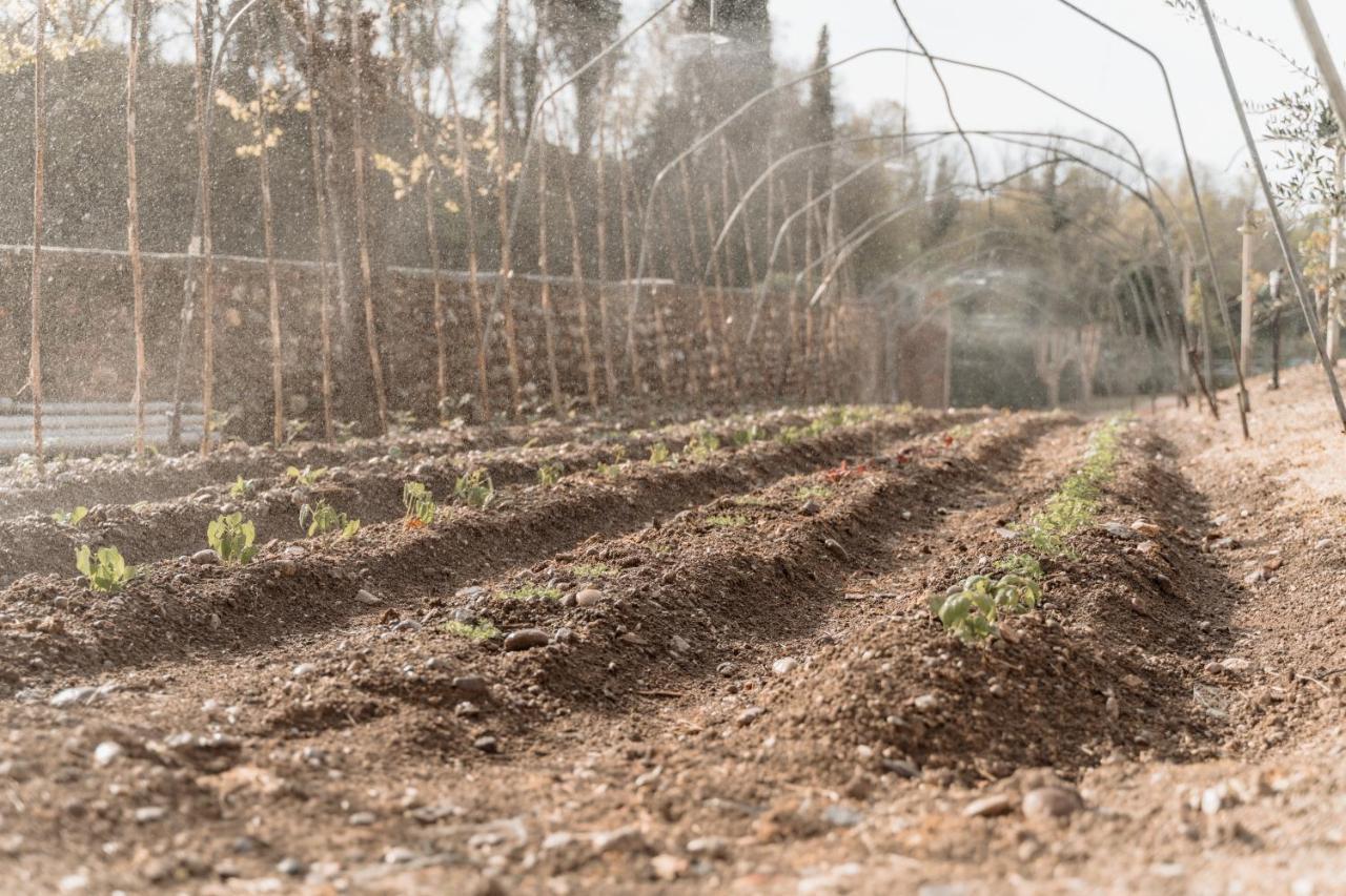 Agriturismo San Francesco Valeggio sul Mincio Εξωτερικό φωτογραφία