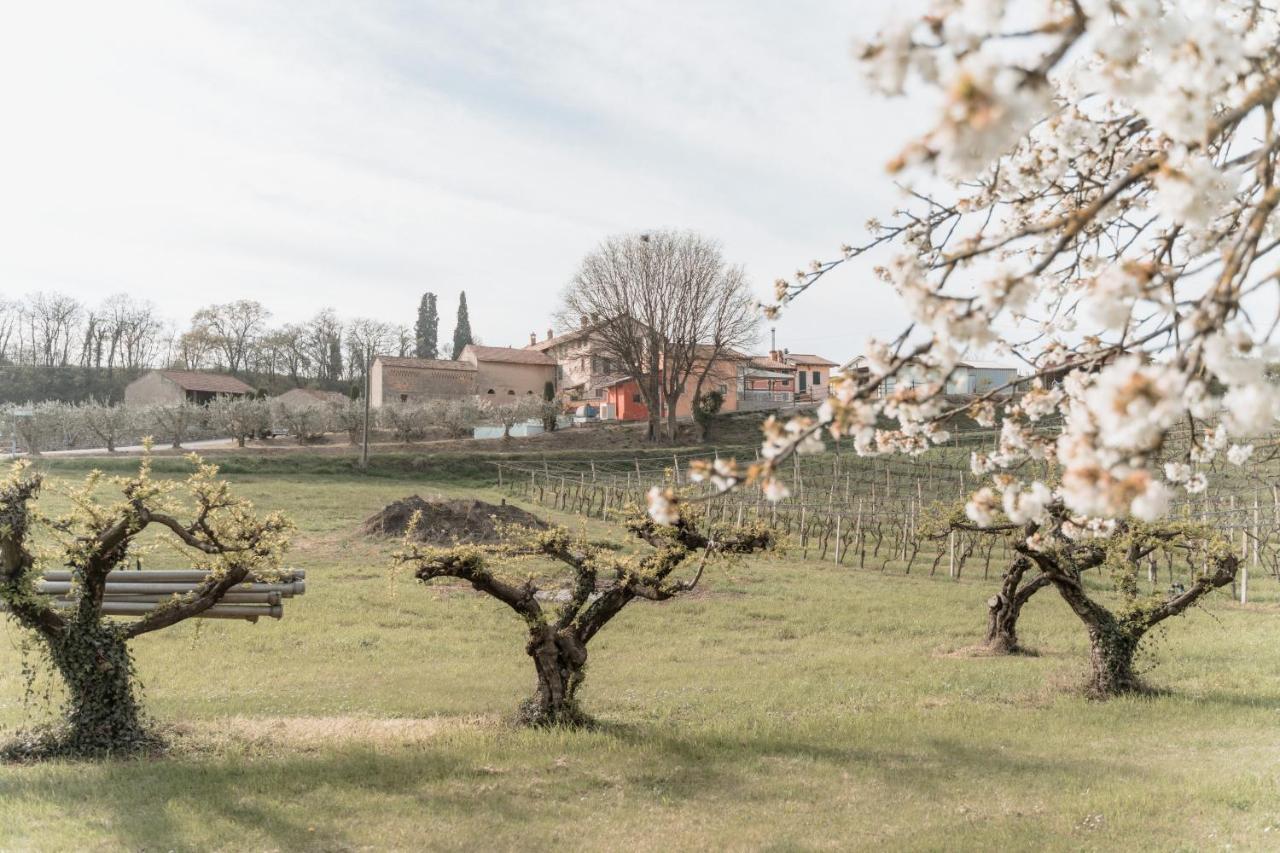 Agriturismo San Francesco Valeggio sul Mincio Εξωτερικό φωτογραφία