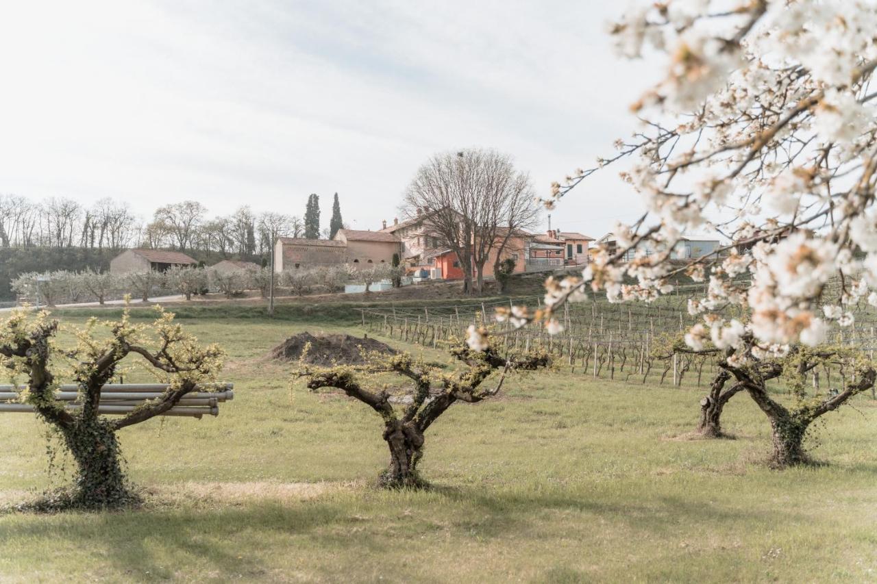 Agriturismo San Francesco Valeggio sul Mincio Εξωτερικό φωτογραφία