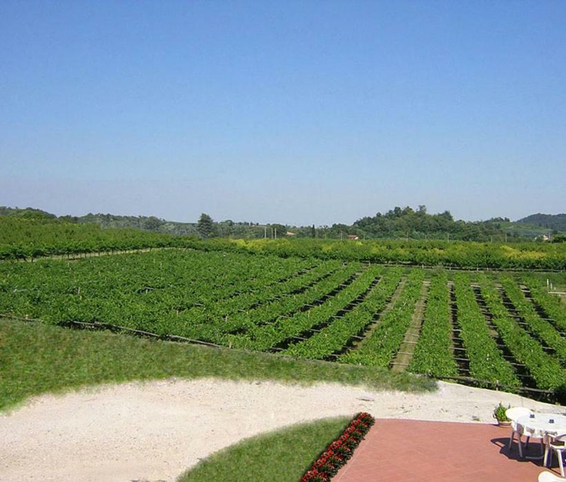 Agriturismo San Francesco Valeggio sul Mincio Εξωτερικό φωτογραφία