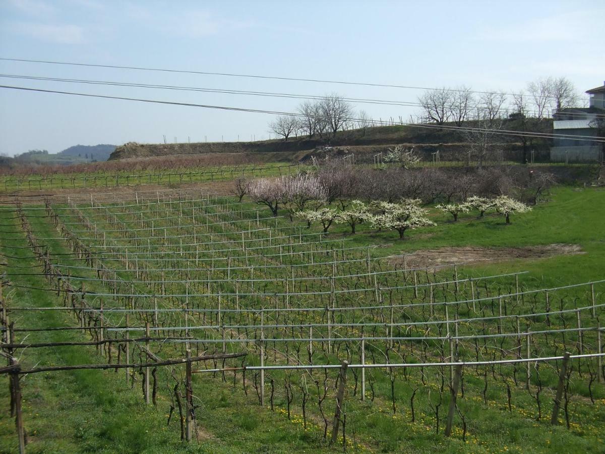 Agriturismo San Francesco Valeggio sul Mincio Εξωτερικό φωτογραφία